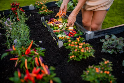 Elevate Your Outdoor Living Space